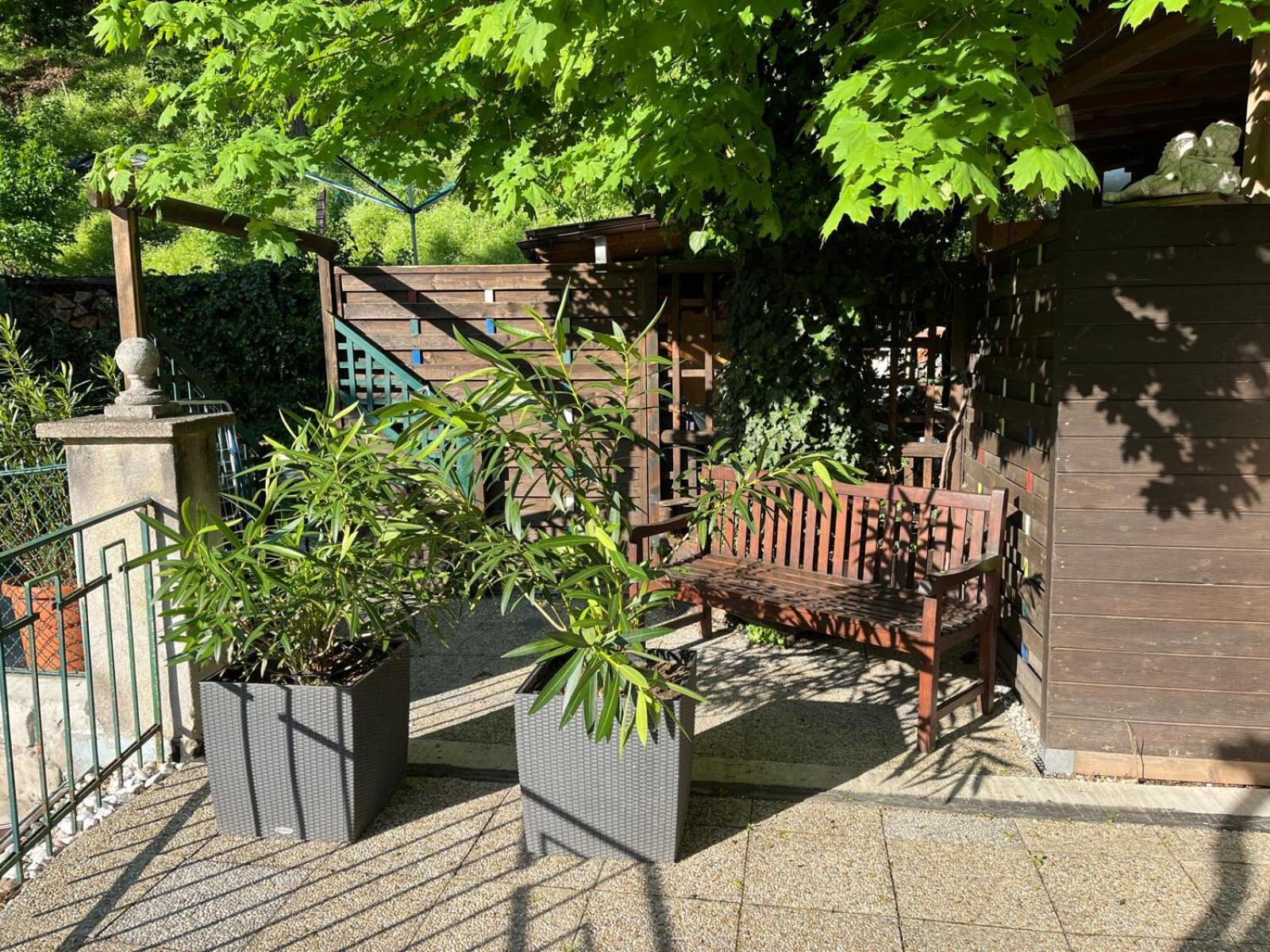 Schoene Wohnung Im Helenental Baden Bagian luar foto