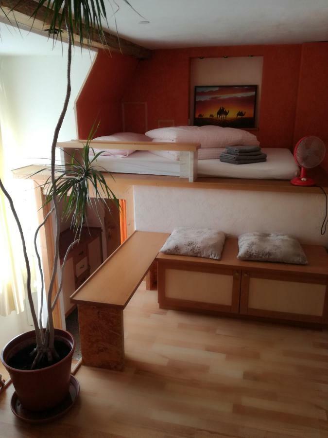 Schoene Wohnung Im Helenental Baden Bagian luar foto